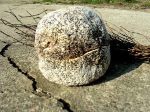 Cukiernica " Kamień wulkaniczny "